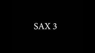 SAX 3