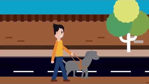 Guide Dog Training at Leader Dogs for the Blind