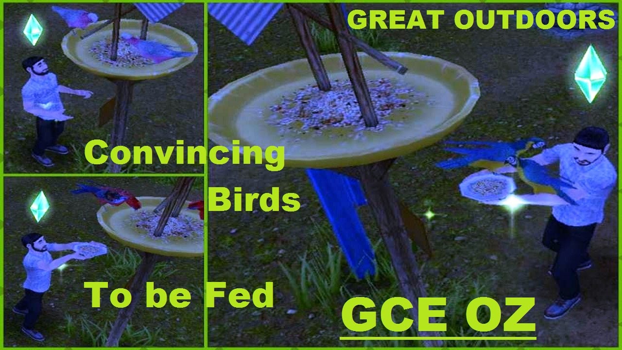 Talking & Feeding Birds at Deer Spring Falls Campgrounds The Sims