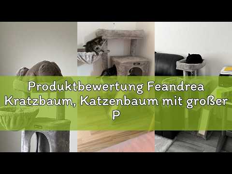 Produktbewertung Feandrea Kratzbaum, Katzenbaum mit großer Plattform, hellgrau PCT51W
