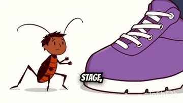 Why It Sucks to be Born as a Cockroach 🪳 | Explained in English