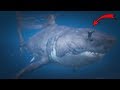 MEGALODON GTA 5 - YouTube