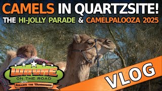 WILDSWANS 2025 TL-ADLER(CAMEL) Camels In Quartzsite! - The Hi-Jolly Parade and Camelpalooza