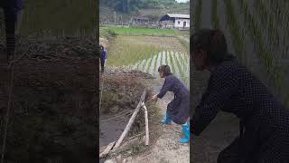Rural Farm Manual Water Lifting Device | Traditional Irrigation Tool
