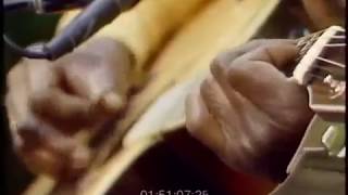 Video thumbnail of "John Cephas and Phil Wiggins - Black Rat Swing"