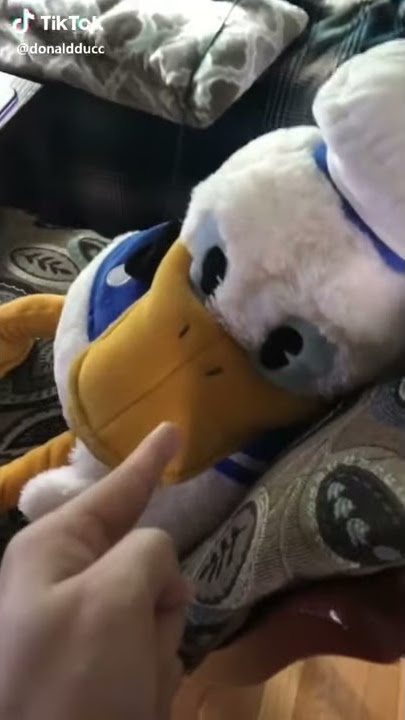 Donald's New Computer? (A Funny TikTok Video By DonaldDucc)