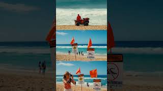 Cinematic looking LUT for Canon Clog2 #filmmaking #cinematic #colorgrade #canonclog2 #filmmakerslife