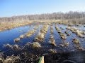 Васюганские болота — одни из самых больших болот в мире, расположены в Западной Сибири. Россия