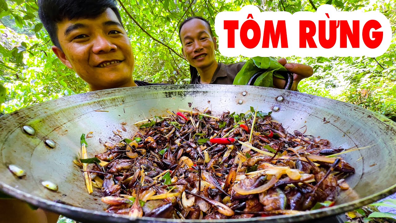 Con Tôm Rừng Chôm Chôm Rừng Đặc Sản Tây Bắc Suối Bản Tv - YouTube