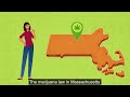 Home Manufacturing | Growing - More About Marijuana