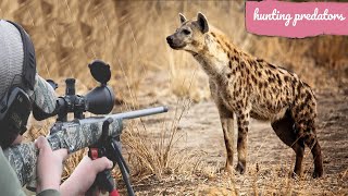 Hunting African hyenas with guns screenshot 4