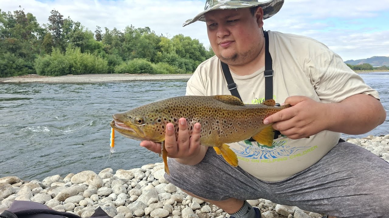Recorrido el rio cautin nos da una hermosa sorpresa 
