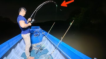 Câu Cá Ngát Nào Ngờ Cá Ăn Mạnh,Một Mình Làm Không Kịp