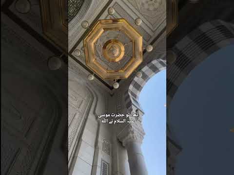Roza...❤️ #muhrram2026 #allahuakbar #youtubeshorts #virralshorts #islamicreminder #muharram #roza