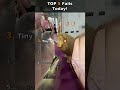 Who's Worst? 5 Fails 💀 "Sneaky Pounce" 😂