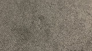 Surprise Disney Vhs Update For February 17Th, 2026