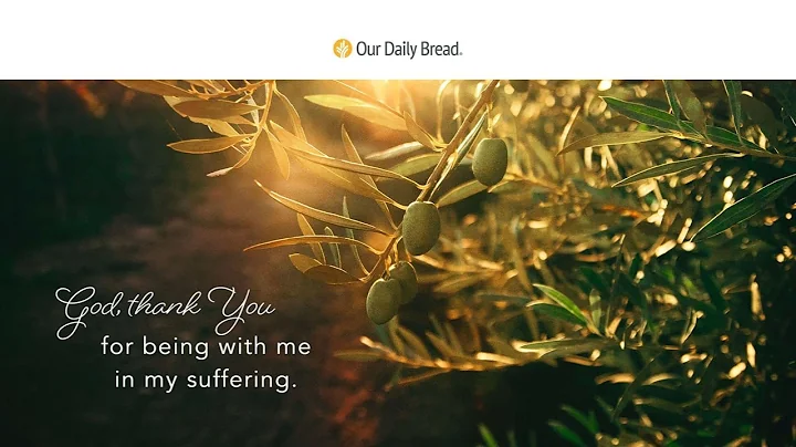 Drops of Red | Audio Reading | Our Daily Bread Devotional | April 7, 2023 - DayDayNews