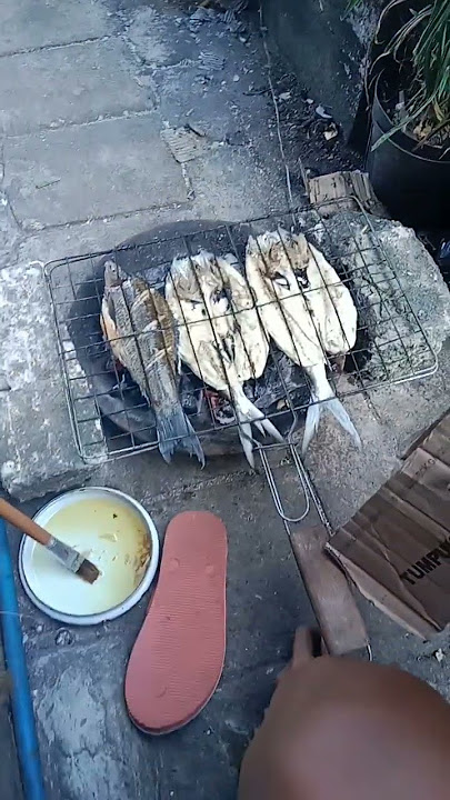 Story GABUT SORE BAKAR BAKAR IKAN #storywa #shorts
