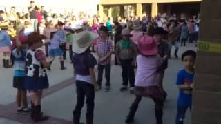 2nd grade square dance
