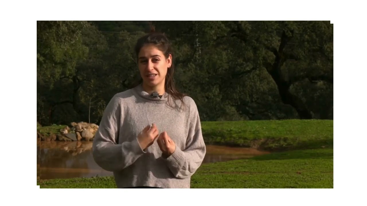 En Huelva tres mujeres han puesto en marcha un proyecto para recuperar la lana de la oveja merina