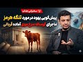 پیشگویی جنجالی ۴۰۰ سال پیش در مورد تنگه هرمز راز گاو سرخ موی جنگ ایران و آمریکا