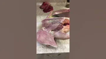 Рак у курицы или фисташковое мясо?