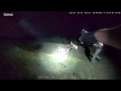 Bodycam shows moment officer shot family’s miniature donkey ‘HeeHaw’ | WSB-TV