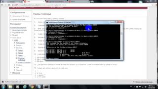 práctica 1 ms -dos