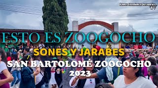 San Bartolomé Zoogocho 2023 - Sones y Jarabes