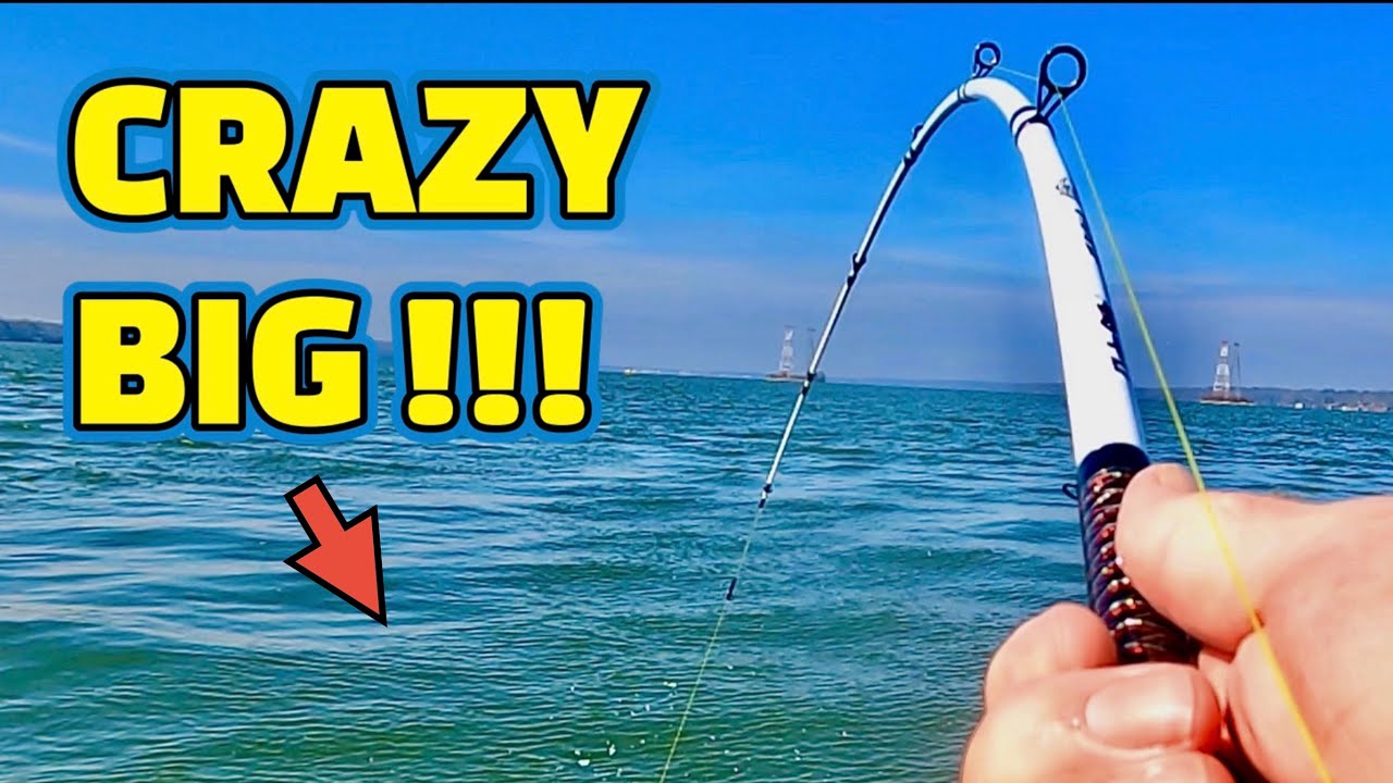 (КРАЙНЕ ОПАСНО) ПОЛОВИТЬ ЭТУ РЫБУ – БОЛЬШОЙ РИСК!!!