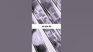 Your Brain Can Process Images in Just 13 Milliseconds!