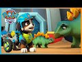 Dino Rescue Pups save the baby dinosaur eggs and more episodes! | PAW Patrol | Cartoons for Kids