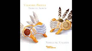 Valkyrie Profile 2 - Public Peace and Soft Sunlight (Cover ft. TheBitterRoost & Torby Brand) screenshot 2