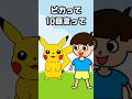 ピカチュウに10回クイズをやったらヤバかったww #ポケモン #つっこみ君