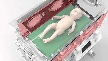Novos Incubator