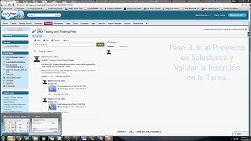 Salesforce PM Milestones Mike v2
