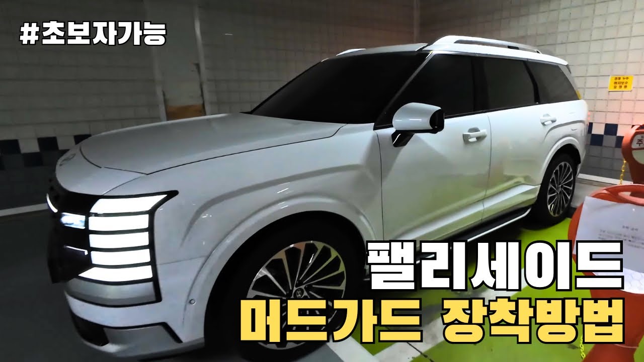 디올뉴 팰리세이드 하이브리드 | 초보자도 쉽게 할 수 있는 튜닝 | 머드가드 | 사이드스텝 장착차량 가능 | 