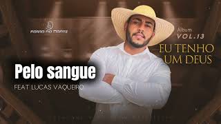 FORRÓ NO MONTE VOL 13 ( Pelo Sangue )