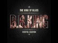 B.B. King - Summer in the city