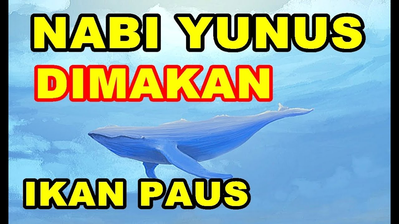 NABI YUNUS di MAKAN IKAN PAUS ? ABANES HIDUP SAMPAI KIAMAT - YouTube