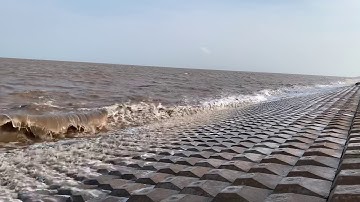 Biển rạch bùn! ven biển