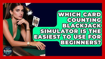 Which Card Counting Blackjack Simulator Is The Easiest To Use For Beginners?
