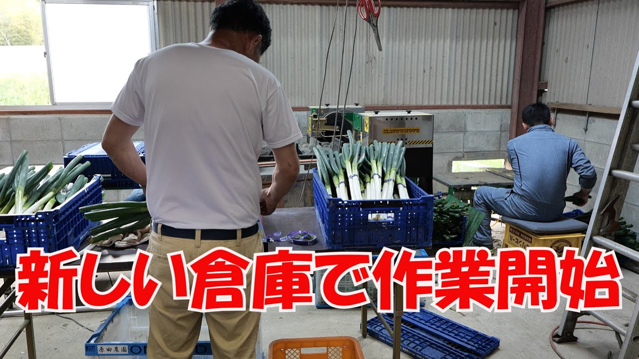 新しい倉庫でネギ調整作業とブロッコリーなどに防除20/5/5＃957
