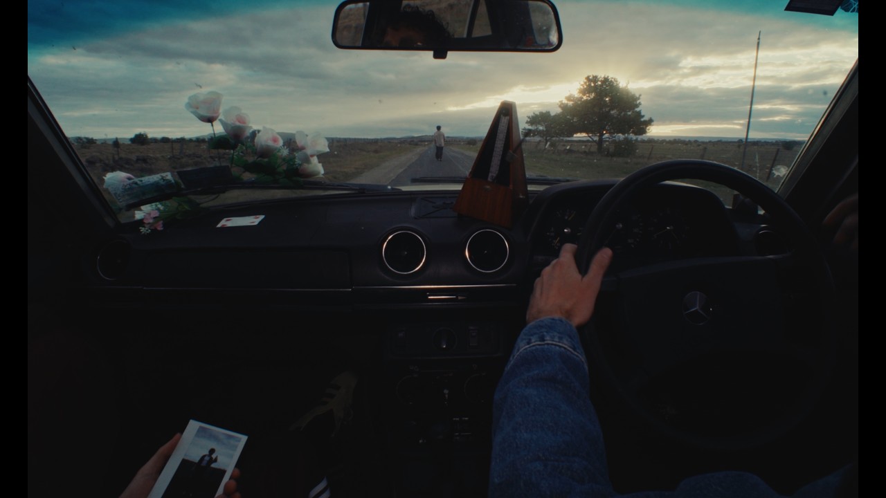 The Temper Trap - Into The Wild (Official Video)