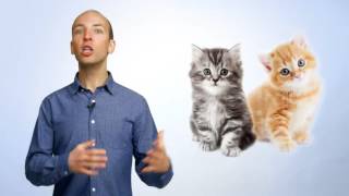 White Hat SEO Case Study  59% More Traffic