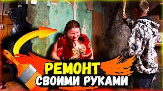 Испугалась паука. Ремонт своими руками. Сено для собак. 356 серия видео