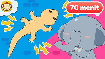 Cicak Cicak di Dinding 🦎 | BaLiTa | Lagu Anak Anak Indonesia