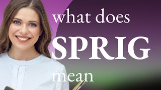 Sprig Meaning Of Sprig