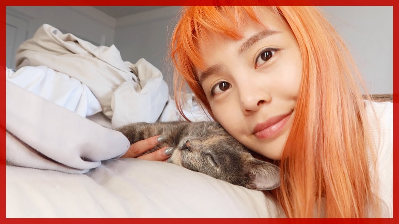 이사오기 전 살던 브루클린 다시 가봤어요 + 택배비 28만원짜리 정체불명의 박스