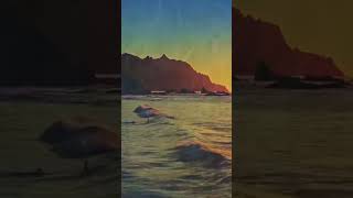 Gelin Allah Diyelim Resimi